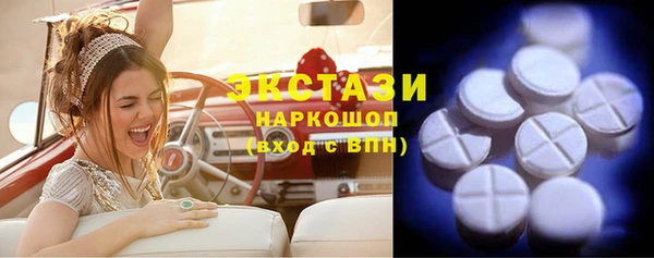 гашик Горняк