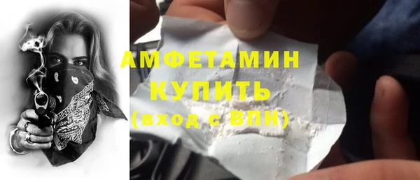 Альфа ПВП Няндома