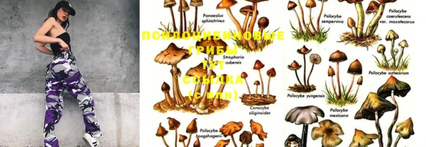 МДПВ Снежинск