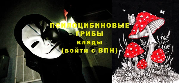 Альфа ПВП Няндома