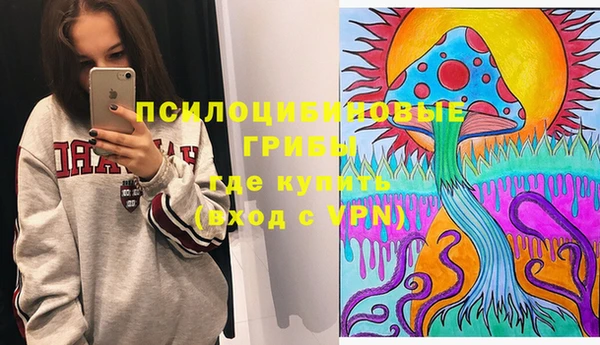 СК Осинники