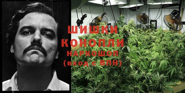гидропоника Нягань