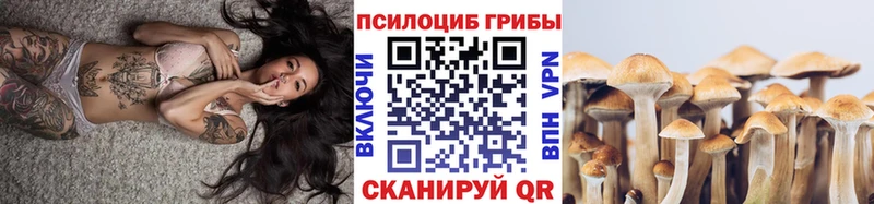 цена наркотик  Райчихинск  МЕГА зеркало  Галлюциногенные грибы мухоморы 